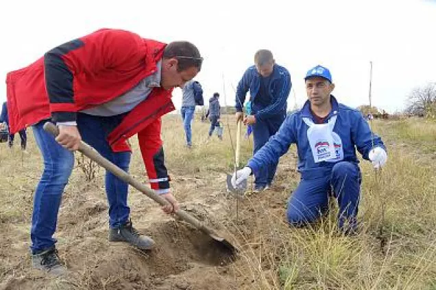 Михаил Сапыркин принял участие общероссийской акции «Сохраним лес» в Усть-Донецком районе