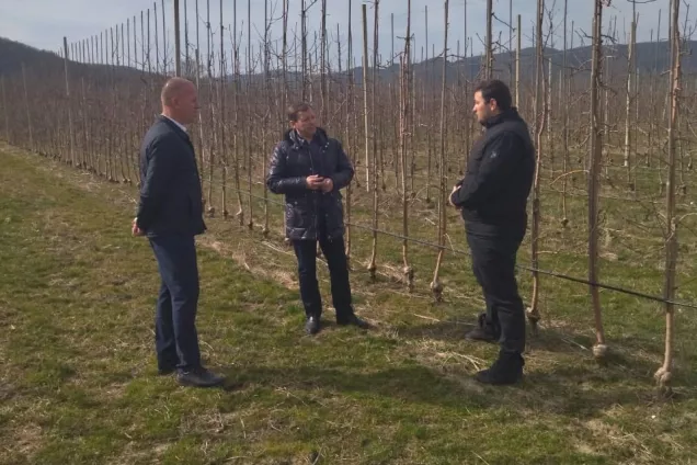Законодатели Кубани проанализировали ход исполнения краевого закона о садоводстве