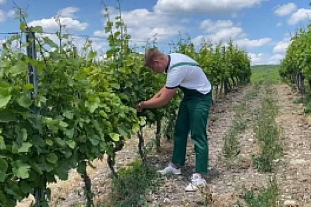 Кубанские депутаты  продолжают изучение вопроса о подготовке квалифицированных кадров