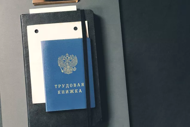 Внесены в ГД поправки о сохранении трудовых гарантий для мобилизованных граждан