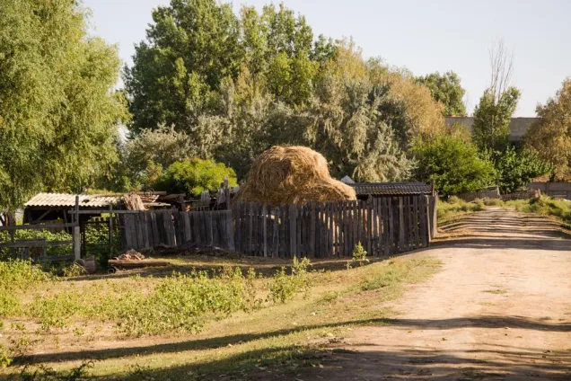 «Дачная амнистия»: что нужно знать
