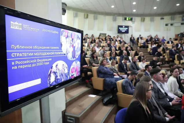 Депутаты ЮРПА обсудили проект Стратегии молодежной политики в России на период до 2030 г.