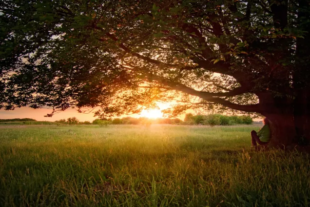 Какие законы подписал Президент в июне 2021г.