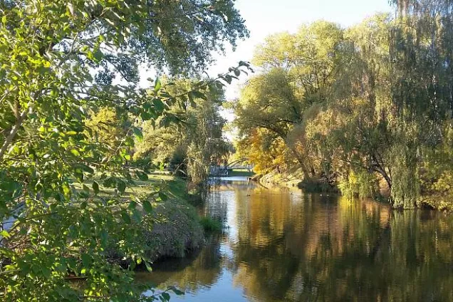 В Волгоградской области подвели итоги экологического конкурса среди школьников