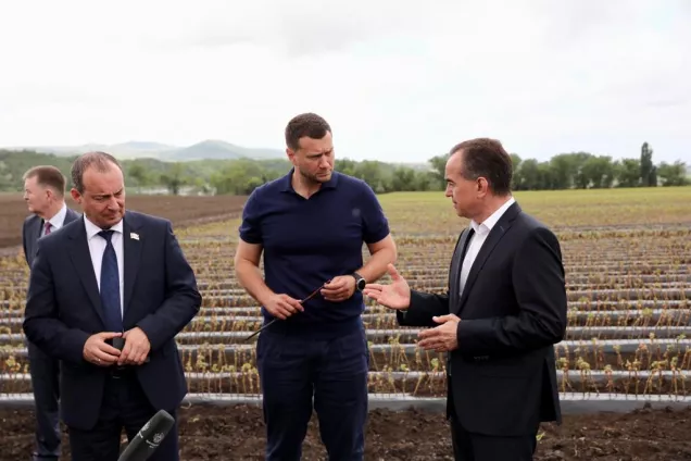Юрий Бурлачко.Нам надо сохранить отрасль виноградарства и виноделия
