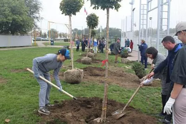 Светлана Мананкина приняла участие в Дне древонасаждения