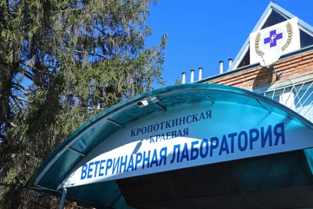 Председатель кубанского парламента Ю.Бурлачко рассказал о развитии ветслужбы в крае