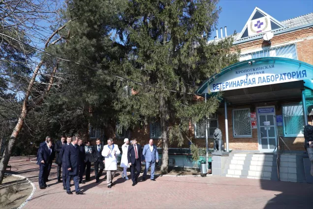 Юрий Бурлачко в Telegram рассказал о ходе реализации в крае закона о ветеринарном благополучии