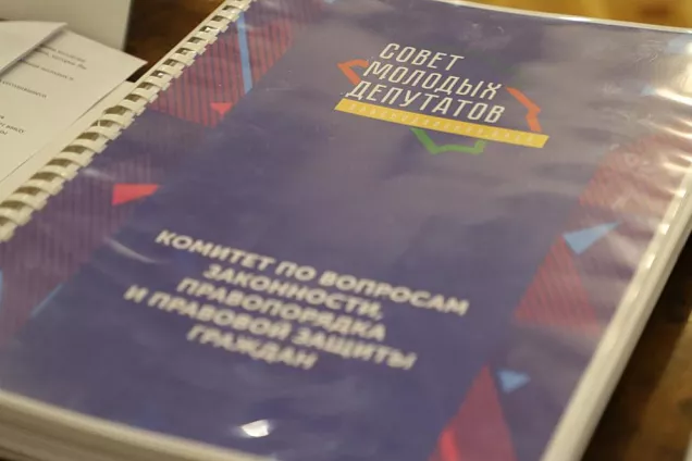 Парламентарии Кубани обсудили  деятельность комитетов СМД в 2021 году