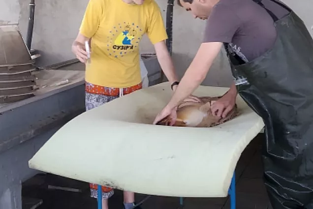 Юрий Бурлачко.Защита экосистемы края – один из приоритетных вопросов для депутатского корпуса