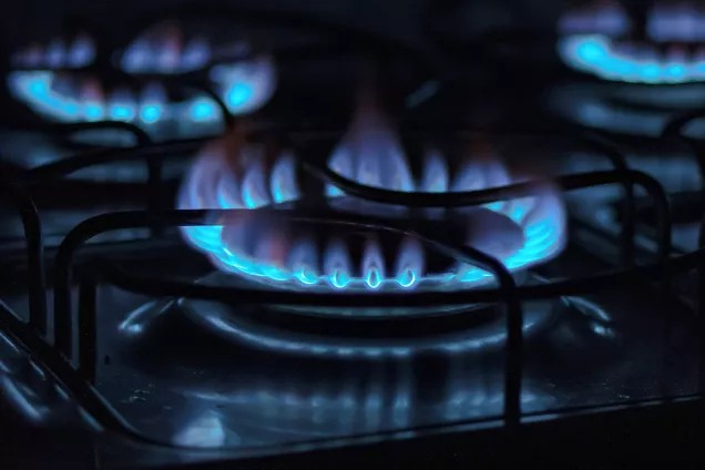 ГД рассмотрит законопроект о бесплатной газификации до конца сессии