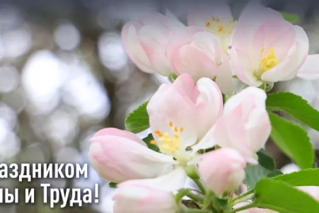 Юрий Бурлачко поздравил кубанцев с праздником 1 Мая