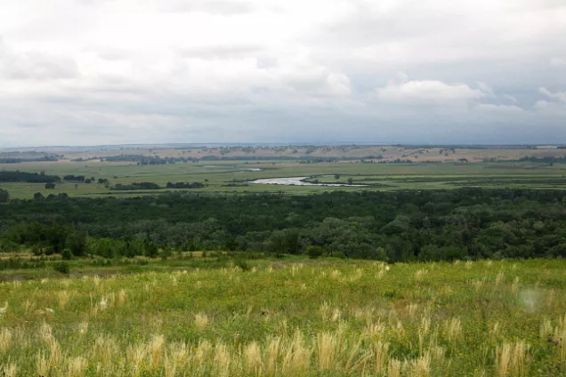 Председатель Волгоградской областной Думы Александра Блошкина поздравил с работники лесного хозяйства