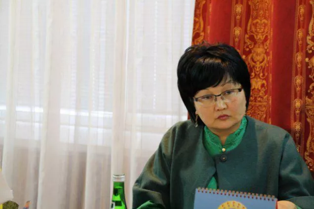 Встреча молодых депутатов со спикером Хурала Калмыкии