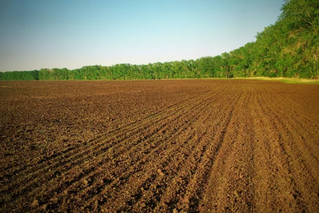 Особое внимание в Калмыкии: проведению сельскохозяйственных кампаний