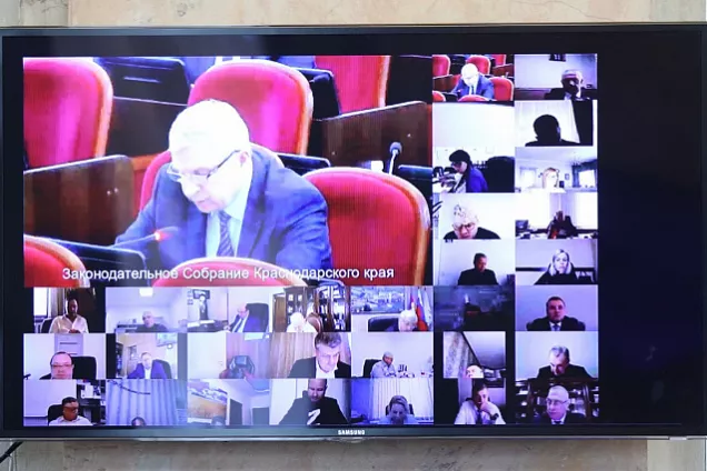 Депутаты Краснодарского края инициировали увеличение размера займа для самозанятых