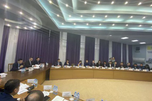 
Члены кабинета министров обсудили Индивидуальную программу развития Калмыкии