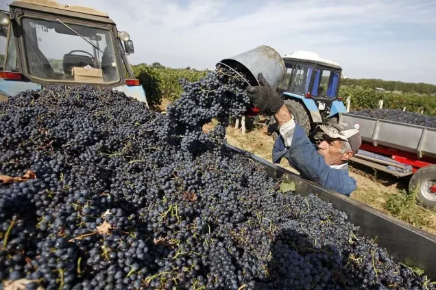 Юрий Бурлачко.Принятые поправки будут способствовать дальнейшей популяризации на Кубани энотуризма