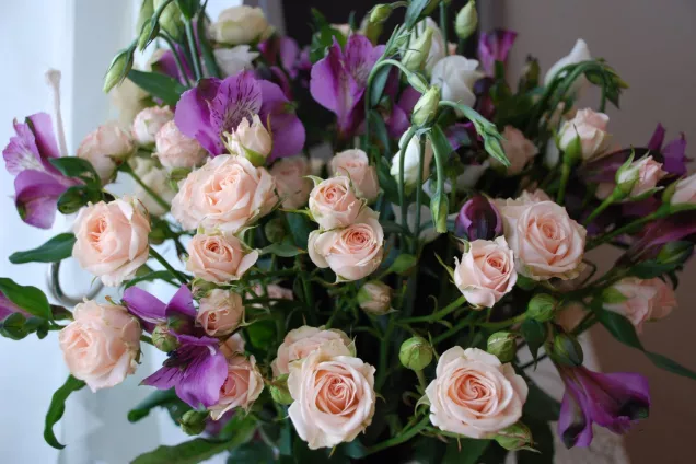 Спикер ЮРПА Владимир Немцев поздравил с Днем рождения председателя парламента РСО-Алания Алексея Мачнева