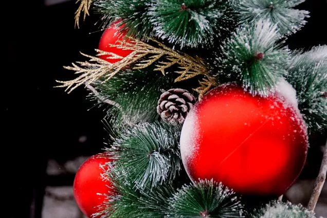 Поздравление с Новым годом председателя ЮРПА