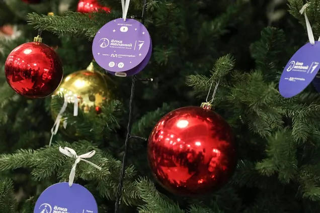 В российской Госдуме  проходит новогодняя благотворительная акция «Елка желаний»