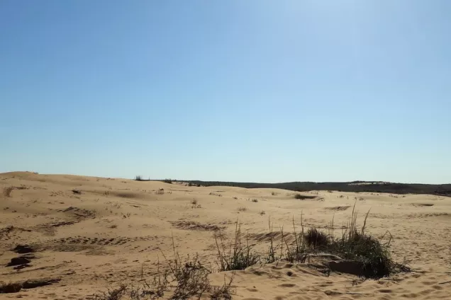 Астраханские законодатели приняли участие в обсуждении проблем опустынивания земель