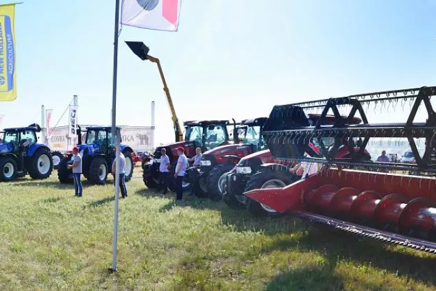 День поля в Волгоградской области прошел в новом формате 