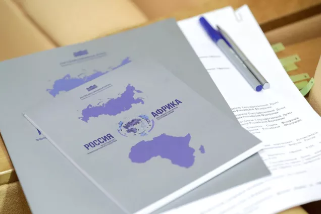 В Госдуме обсудили  сотрудничество со странами Африки