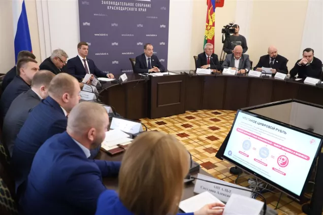 В кубанском парламенте обсудили особенности использования цифрового рубля