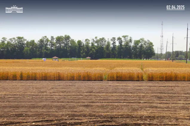 Ю.Бурлачко. Фильтр, исключающий принятие неправомерных решений по земле, нужен всегда