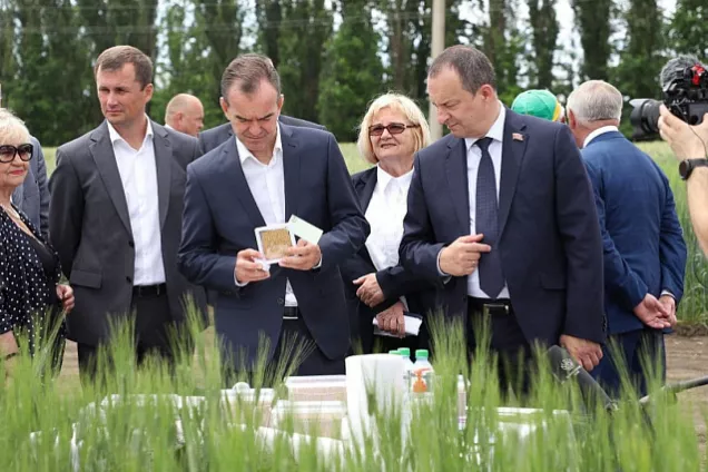 Власти Кубани проверили готовность региона к уборке зерна