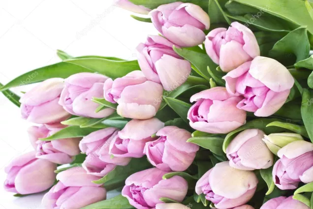 Юрий Бурлачко.Настоящая весна приходит в нашу жизнь именно с вашим праздником, дорогие женщины!