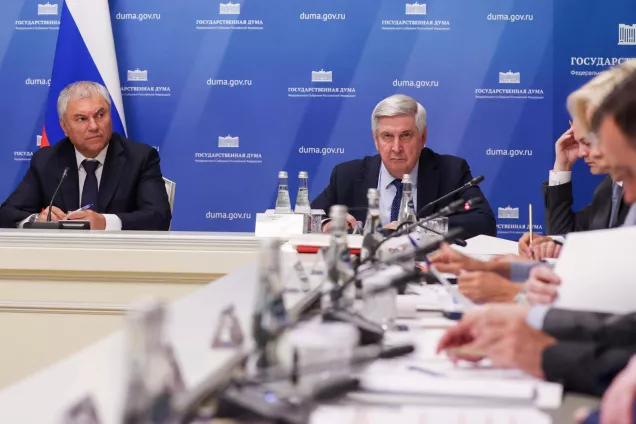 Совет Госдумы обсудил проблемы организации отдыха и оздоровления детей