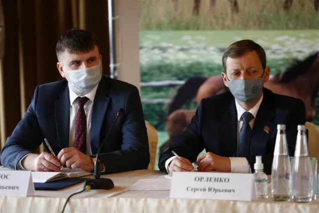 Состояние и перспективы коневодства на Кубани стали главной темой краевого выездного совещания