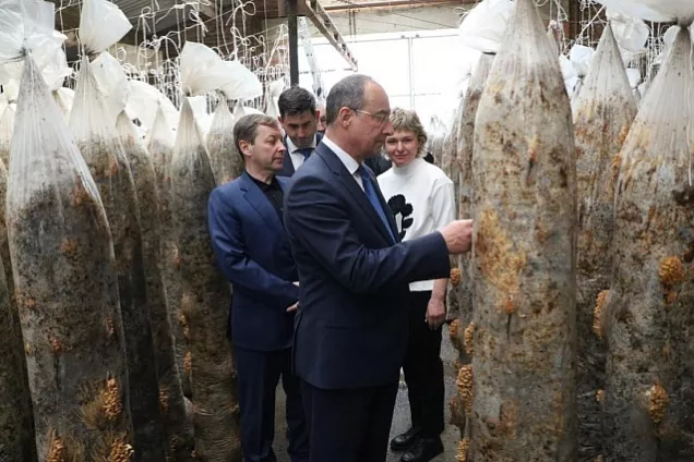 Кубанские законодатели посетили ряд производственных объектов Усть-Лабинского района