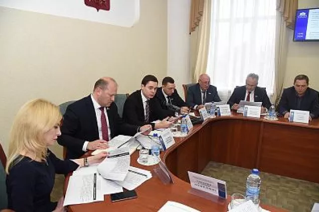 Профильный комитет донского парламента поддержал поправки в Конституцию Российской Федерации