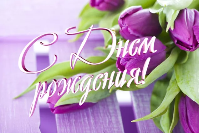 Председатель ЮРПА В.Немцев поздравил спикера парламента КЧР Александра Иванова с Днем рождения