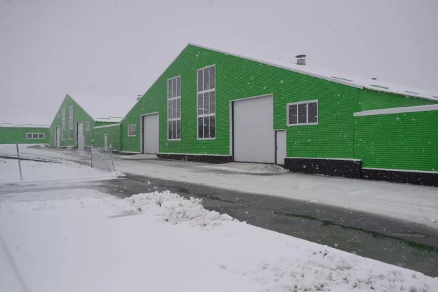 В Адыгее реализуется уникальный проект по созданию кластера в сфере молочного козоводства