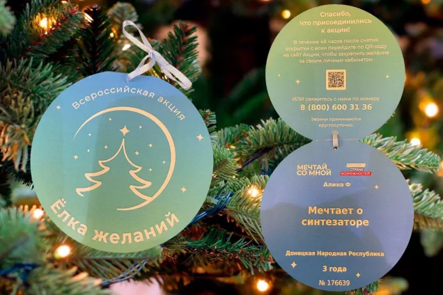 Спикеры парламентов ЮРПА  на площадке Совета Федерации приняли участие в акции «Елка желаний»