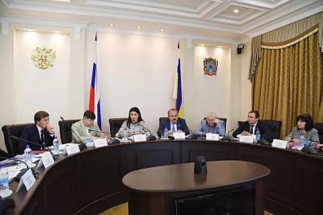 Состояние системы дополнительного образования обсудили в донском парламенте