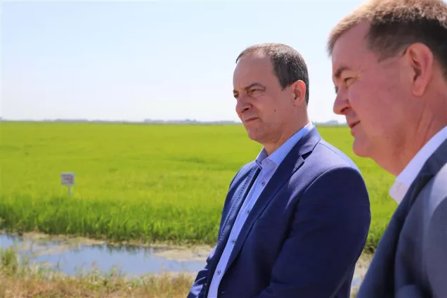 Юрий Бурлачко.Наш край является основным рисосеющим регионом страны. За последнее время на Кубани наблюдается увеличение площадей под рисом