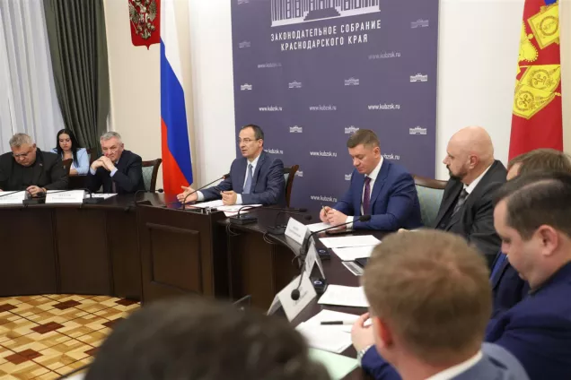 Кубанские депутаты обсудили развитие единого цифрового контура в краевом здравоохранении