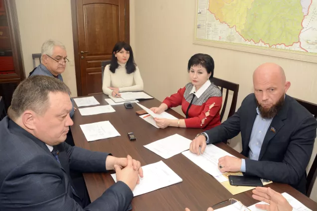 Вопросы законотворческой деятельности в сфере образования обсудили на заседании профильного Комитета