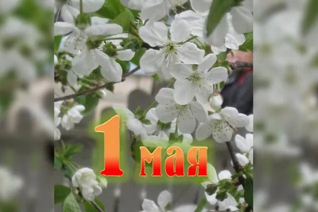 Публикуем Поздравление председателя Волгоградской областной Думы А. Блошкина с праздником Весны и Труда