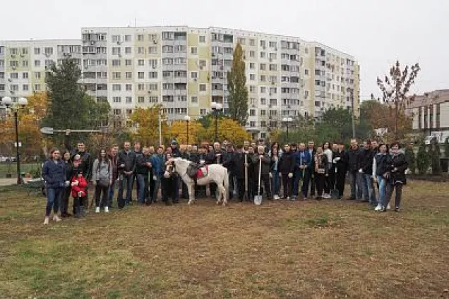 В парке «Дружба» появилось 262 новых дерева 