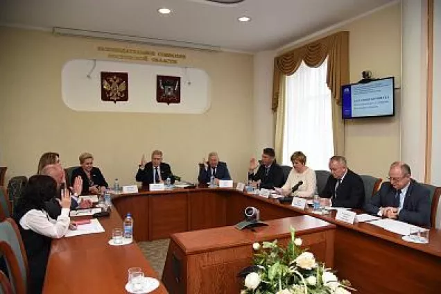 Многодетные семьи Ростовской области получат бесплатные микроавтобусы