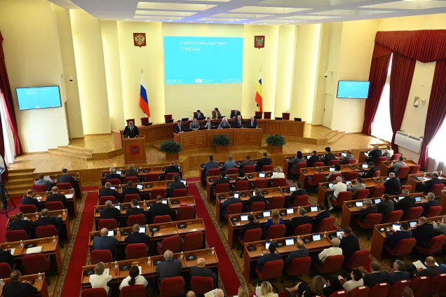 Депутаты Дона на второе полугодие запланировали мониторинг исполнения 11 областных законов