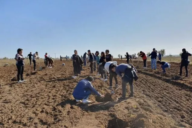 
Депутаты Парламента Калмыкии присоединились к субботнику