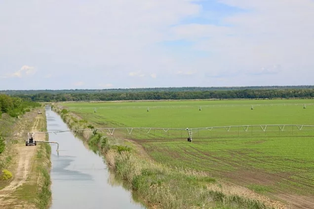 Спикер ЗСК Ю.Бурлачко отметил активную работу гулькевичских предприятий с инструментами поддержки краевых фондов