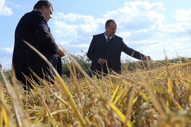 Юрий Бурлачко. Необходимо полностью обеспечить страну посадочным материалом российской селекции